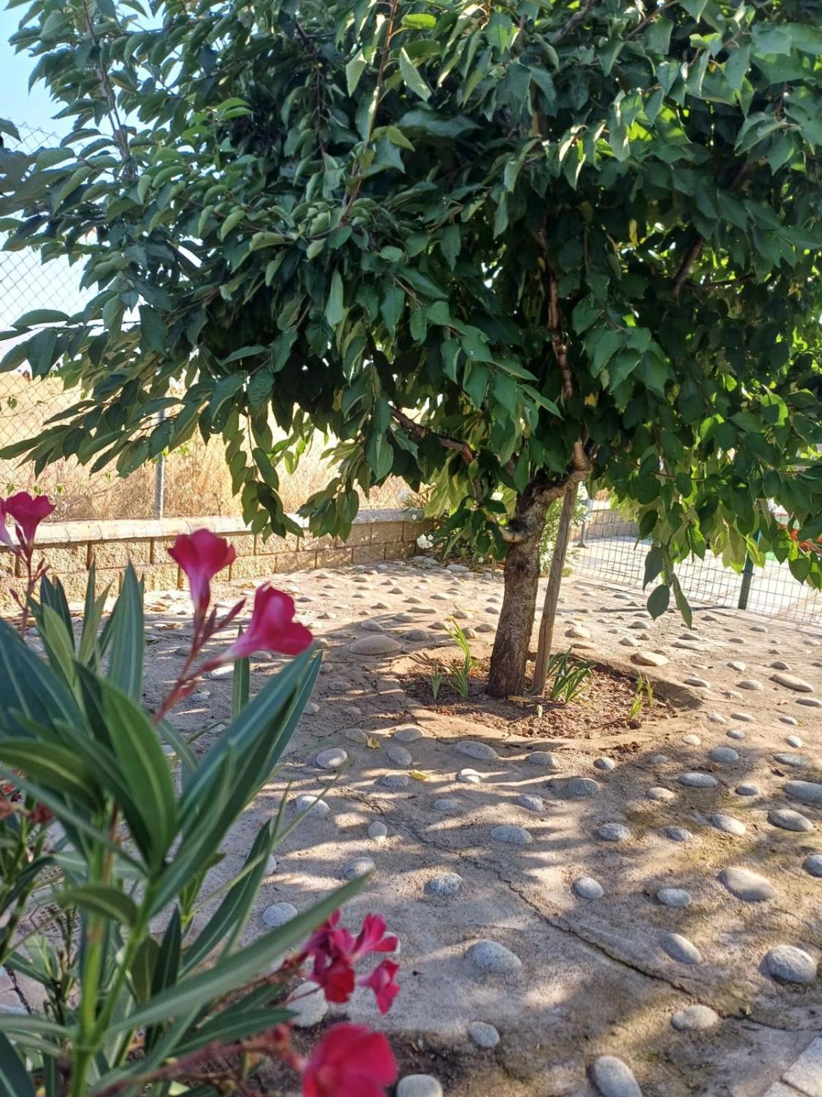 Вилла El Almendro Del Cura Villarmayor  Экстерьер фото