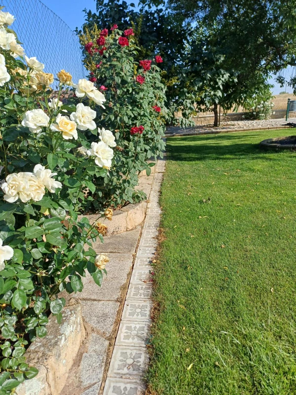 Вилла El Almendro Del Cura Villarmayor  Экстерьер фото