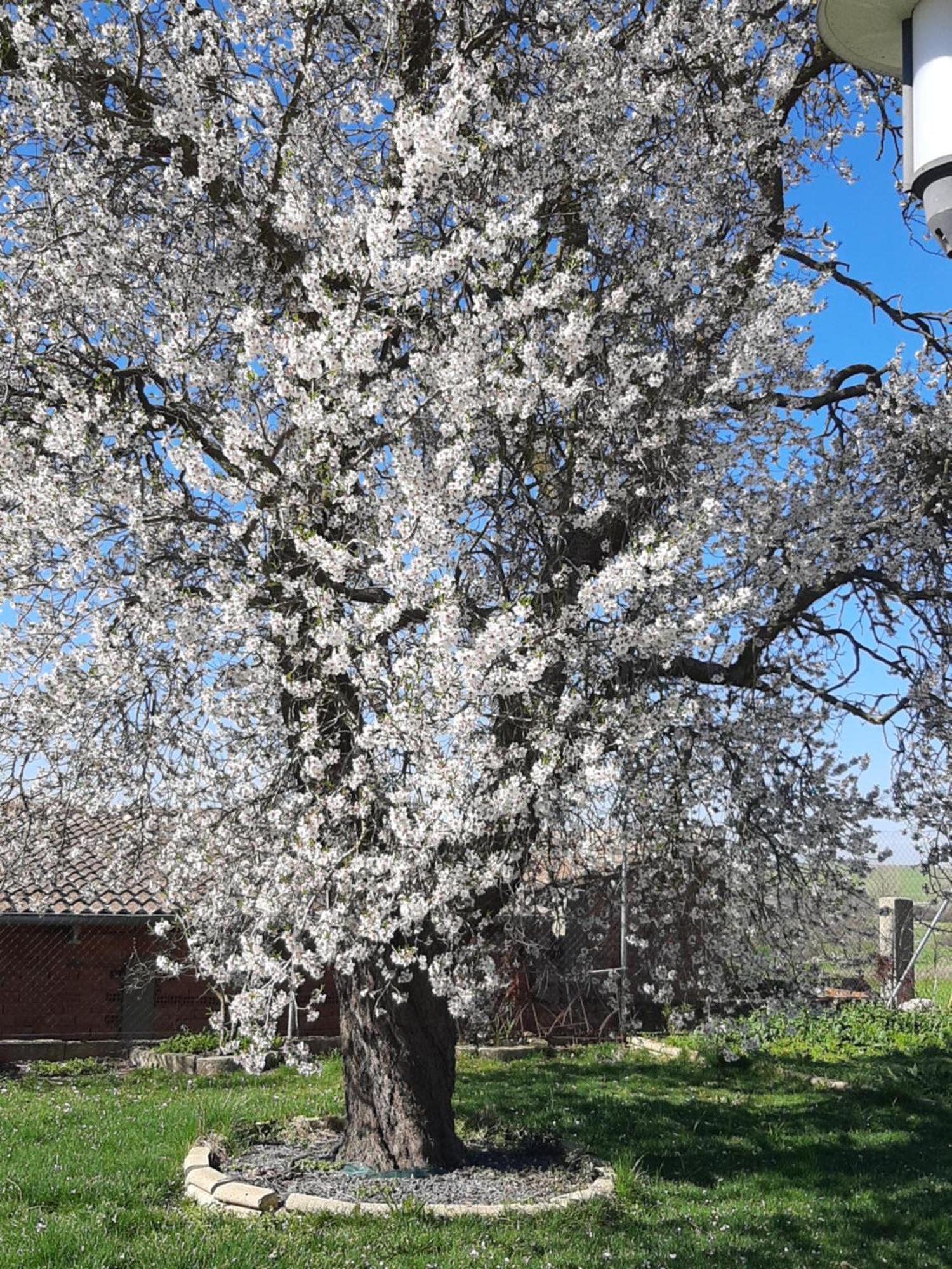 Вилла El Almendro Del Cura Villarmayor  Экстерьер фото